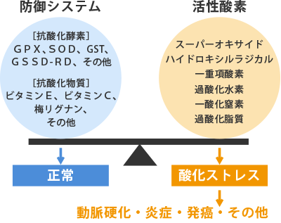 酸化ストレスの概念図