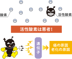 カタラーゼの働き