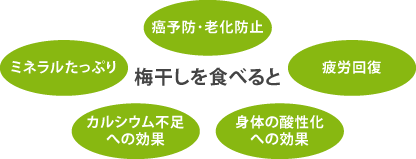 梅干しを食べると癌予防･老化防止・ミネラルたっぷり・疲労回復・カルシウム不足への効果・身体の酸性化への効果