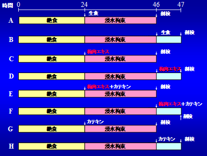 各実験群の手技