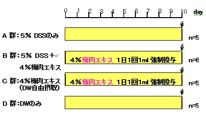 実験方法