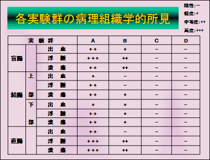 各実験群の病理組織学的所見